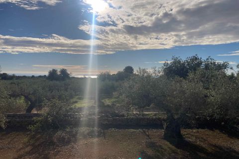 Finca i El Perello, Tarragona - foto 3